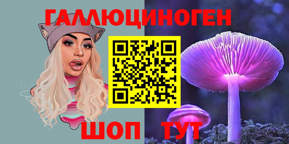 купить наркоту  Псилоцибиновые грибы GOLDEN TEACHER  Вход с VPN  Кохма  Галлюциногенные грибы GOLDEN TEACHER 